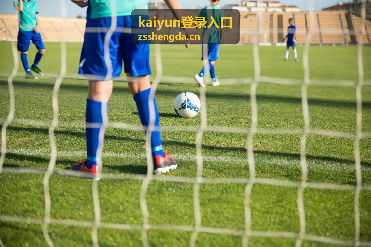 kaiyun登录入口地址核对场景